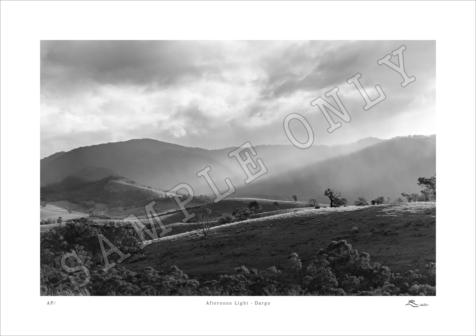 Afternoon Light - Dargo - Large | Afternoon_Light-2.jpg