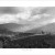 Afternoon Light - Dargo - Large | Afternoon_Light-2.jpg