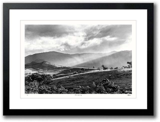 Afternoon Light - Dargo - Large