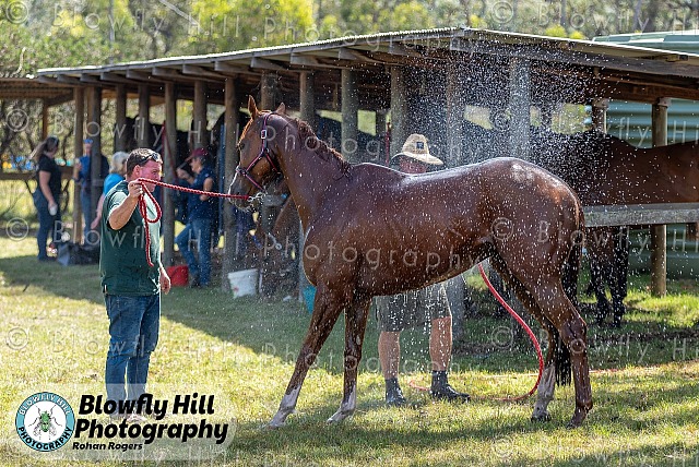 2026 Canni Creek Picnic Races 