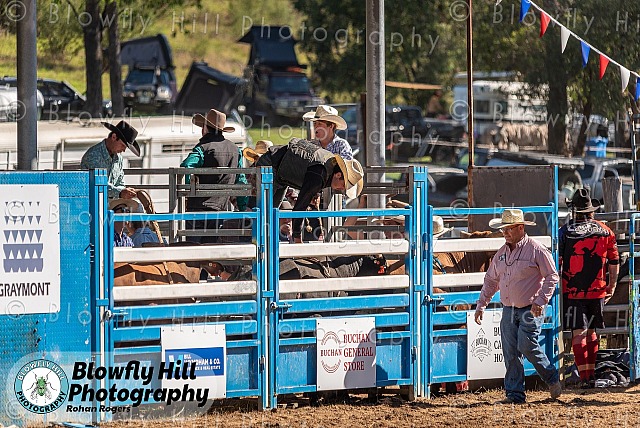 Rodeo